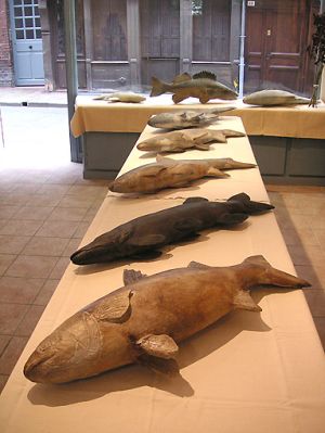 Atelier Valdet